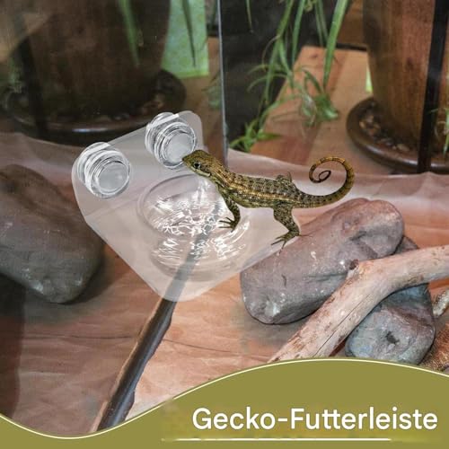 Reptilien- Futternapf- Abnehmbarer magnetischer Gecko- Futternapf, einfache Installation, Reptilien- Futterstation für Eidechsen, Chamäleons, Laubfrösche-2