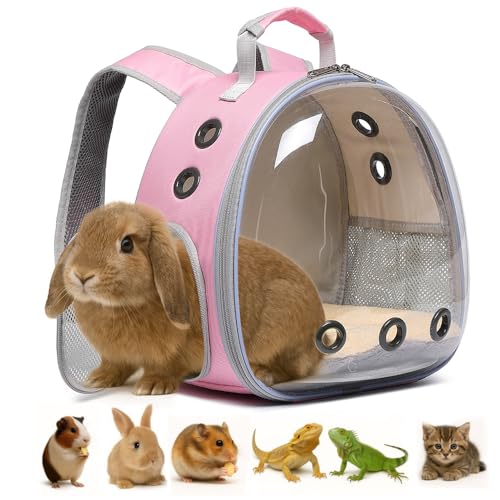 Sac à dos de transport respirant pour cochon d'Inde, lapin, dragon barbu, lézard, hamster, chaton - Parfait pour les visites vétérinaires et les aventures...