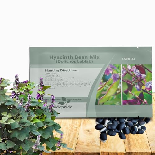 Outsidepride Lablab Hyacinth Bean Vine Seeds Mix - 200 Pcs Perennial, Fast Growing Vegetable Seeds for Planting with Fragrant Foliage for Garden & Edible Flower and Pods for Culinary Uses