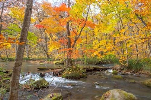 y{i|XgJ[hzX gt  Vphoto by daikegorotHgJ[hyY