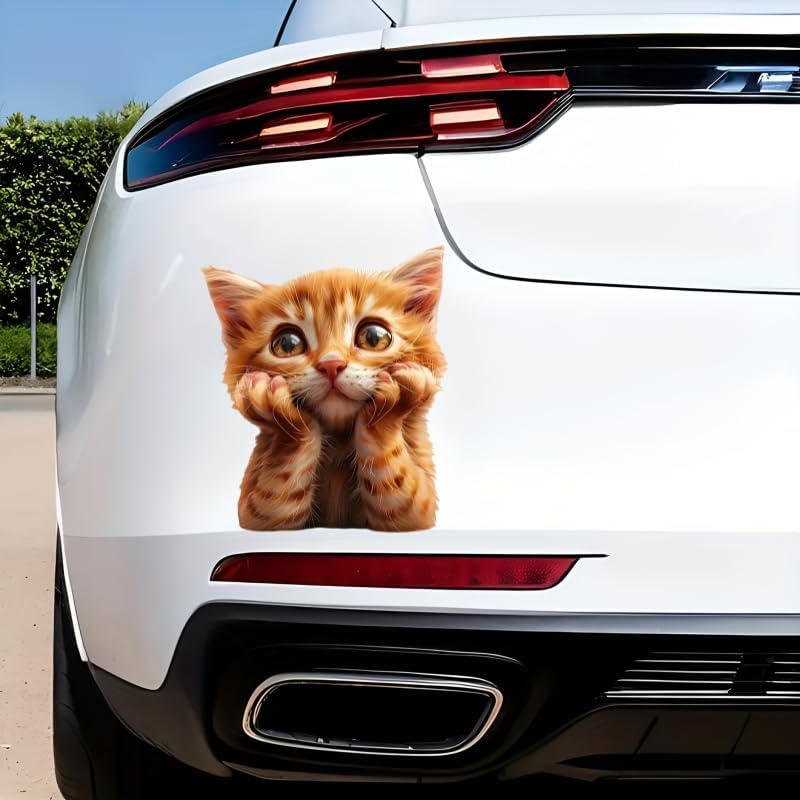 5.5 Inch 2-Pack Cat Sticker, Durable Vinyl Car Stickers & Car Decals, Waterproof Bumper Stickers and Decals for Vehicles for Cars, Laptops, Walls - Image 3