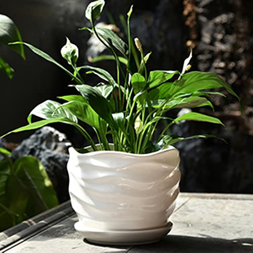 Pot de fleurs en céramique grand format avec plateau pour plante verte