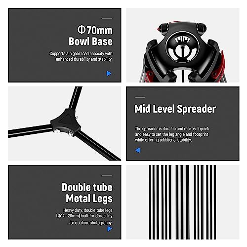 NEEWER 79"/200cm Video Tripod, Heavy Duty Aluminum Alloy Camera Tripod Stand with 360° Fluid Drag Head, QR Plate Compatible with Canon Nikon Sony and Other DSLR Camera Camcorder, Load Up to 17.6lb/8kg