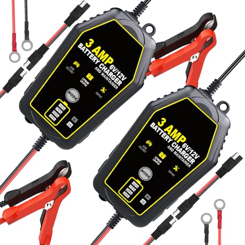 2 Pack Car Battery Charger