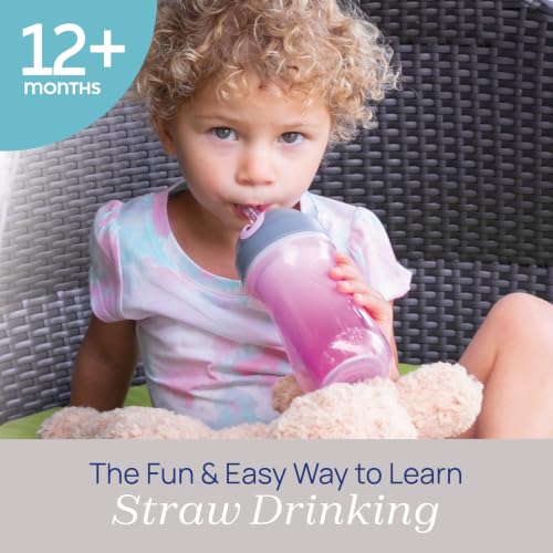 Chicco Insulated Flip-Top Straw Sippy Cup for Toddlers 12m+, 9oz 2-Pack - image 2