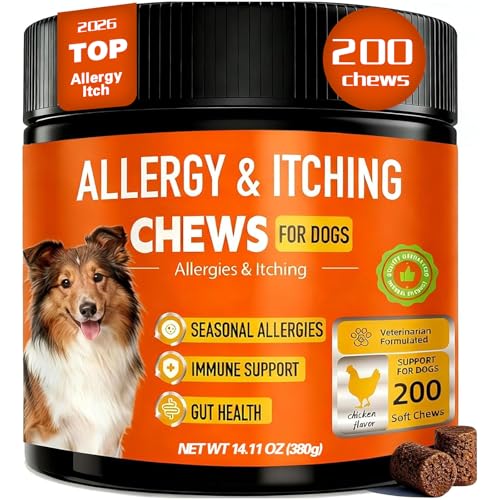 Dog Allergy Chews,Probiotics for Dogs Itching Skin Relief for Skin and Paw Licking, Dog is Human Multivitamin Itch Relief for Seasonal Allergies (Chicken)