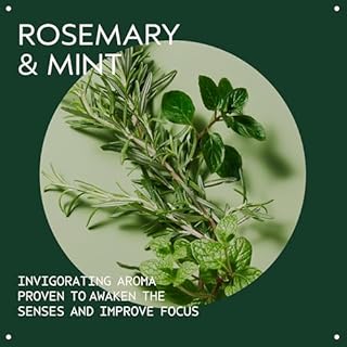 Aveda Rosemary Mint Purifying Shampoo | Clarifying Shampoo | Adds Shine | for Normal to Oily Hair, Fine to Medium Hair Types | 97% Naturally Derived*, 250ml