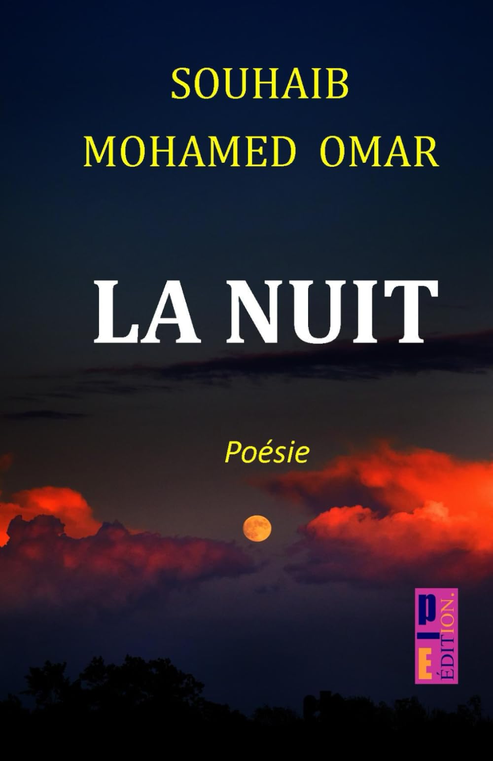 La nuit: Recueil de poèmes