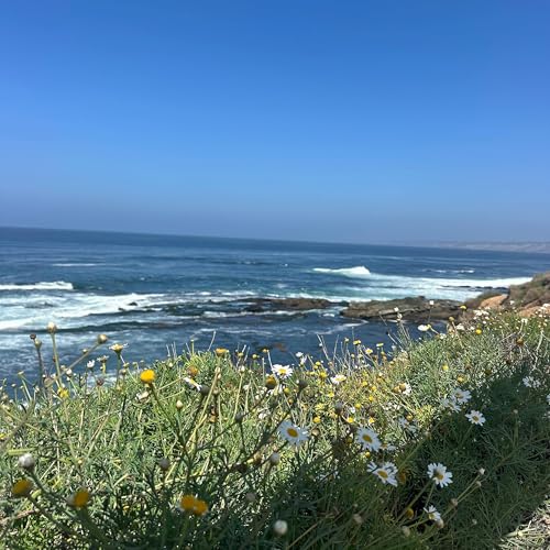 Affirmations For Trust Podcast Por  arte de portada