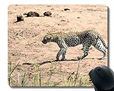 Yanteng Anti Slip Mouse Mat für Desktops, Wildlife Natur angepasst Mauspad