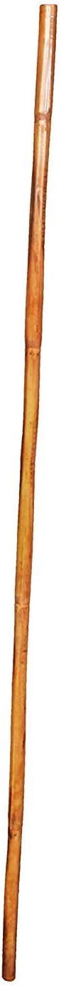 Avika Yoga with Stick, Dando Yoga Stick (5 feet)
