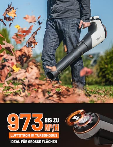 Nahaufnahme des bürstenlosen Motors und Geschwindigkeitsreglers am Litheli Laubbläser