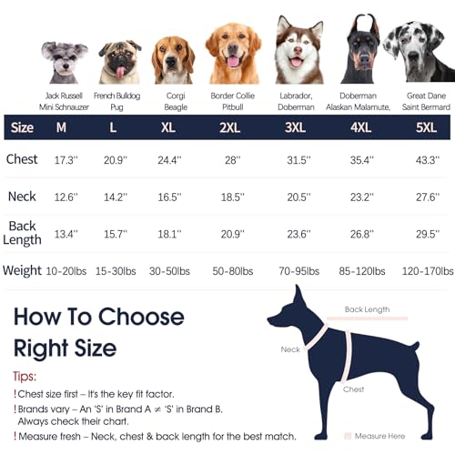 Lista de Prendas de punto Top 10. 14 Imagen adicional