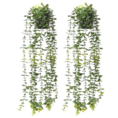 Image of TIED RIBBONS Set of 2 Artificial Hanging Plants with Pot Potted Greenery Eucalyptus Mandala Vine for Wall Home Decor Wall Pot Indoor Outdoor Office Garden Balcony Decoration Items (60 Cm Long)