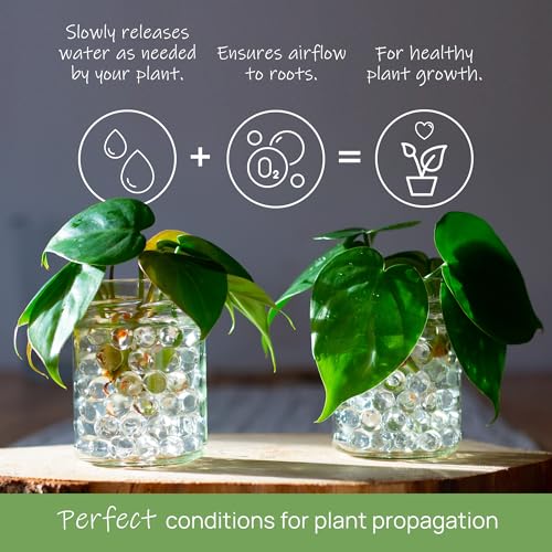 comforder – Water Beads, Water Balls, Decorative Water Beads for Plants, Decorative Gel Balls for Vase Fillers (Clear, 20,000)