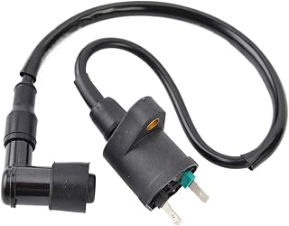 Ignition Coil Assembly Compatible with SkyTeam ST125-1, PBR125-11, T-Rex 125-6, Skymax 125-8, ST50, ST50-8, KAYO TT125, TD-D125 and Other Specified Models