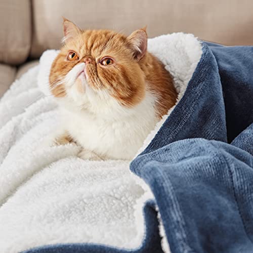 BEDSURE Kuscheldecke - Warm Sherpa Wolldecke & Sofadecke, Flauschig Sofaüberwurf Decke, Dicke Couchdecke, Fleecedecke… – Ansicht 2