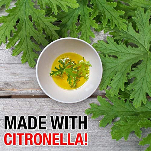 Green Gobbler Fruit Fly Goodbye Gel Drain Treatment | Drain Fly Killer | Fruit Fly Killer | Drain Flies Treatment | Fruit Flies Treatment | Drain Fly & Fruit Fly Eliminator (1 Gallon) #TOP2