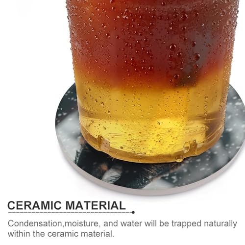 Dessous de verre en céramique sanglier lot de 6 ronds absorbants pour table basse