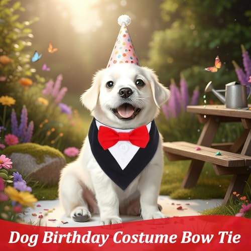 Molain Disfraz Formal para Perros Pequeños con Pajarita miniatura 5