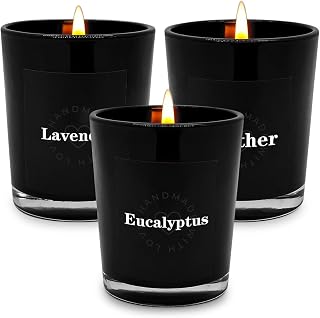 Set of 3 Leather, Lavender and Eucalyptus Scented Candles in Black Glass Holder, Small 2 Inch Natural Soy Wax Gift Votive Candles for Home Fragrance Christmas Party Holiday Table Decor