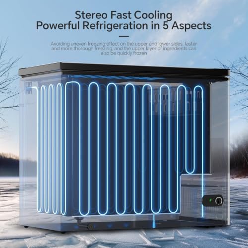 10.0 Cu.Ft Deep Freezer Black