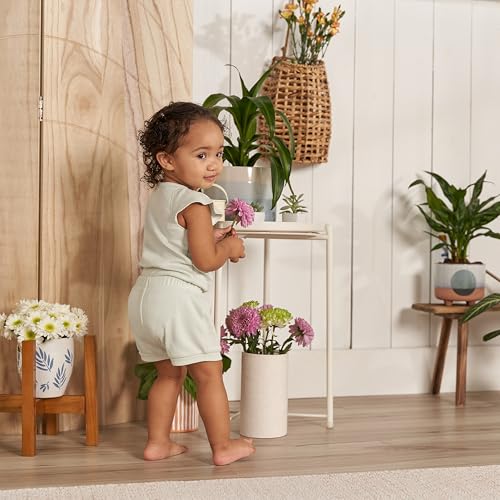 Image of Gerber Baby Girls' Bodysuit and Shorts Set