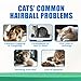 Just Try 300 Bites Hairball Control Cat Treats - Hairball Treatment & Relief for Cats - with Cat Grass, Pumpkin, & Omega-3 Fish Oil, Crunchy Chicken Flavor Crunchy Bites