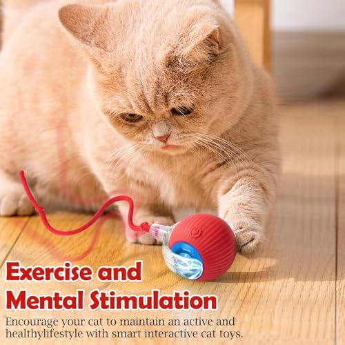 Image of Interactive Cat Toy - Cat Toys for Indoor Cats Smart Silicone Rolling Ball with Tail,Bird Sound,Obstacle Avoidance and Motion Activated,Kitten Puzzle Toys (Red)