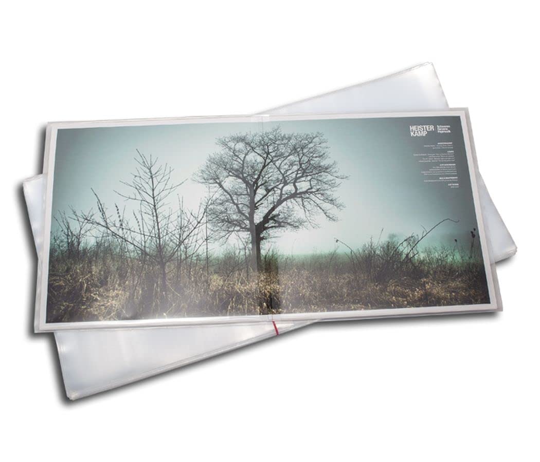 Protected Doppel LP Schutzhüllen aus PE (50 Stück)