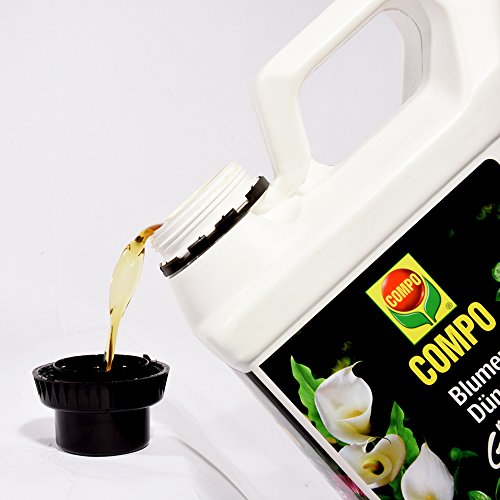COMPO Blumendünger mit Guano für alle Zimmer-, Balkon- und Terrassenpflanzen, Spezial-Flüssigdünger, 5 Liter - Image 5