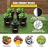 VEVOR DWC Hydroponic System, 5 Gallon 5 Buckets, Deep Water Culture Growing Bucket, Hydroponics Grow Kit with Pump, Air Stone and Connected Reservoir, for Indoor/Outdoor Leafy Vegetables #5