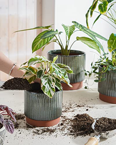 Image of LE TAUCI Ceramic Plant Pots with Drainage Holes, Set of 3, 8+6.7+5.5 Inch Stripe Garden Planter Pots for Outdoor Indoor Plants Flower, Round Succulent Orchid Flower Pot, Reactive Glaze Black