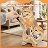 Caticalife 6Pcs Silvervine Sticks for Cats with Catnip Bag, Cat Chew Toys for Teeth Cleaning and Anxiety Relief, Natural Dental Care Kit for Indoor Cats & Kittens #5
