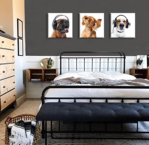 Dog Wall Decor For Bedroom Dog Canvas Wall Art Funny Puppy Music Painting Animal Pictures Canvas Print Modern Home Boys Room Living Room Wall Decorations Artwork Framed Ready To Hang 16"W X16"H X3 #TOP2