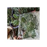 Telone trasparente impermeabile in plastica per mobili da giardino, patio, divano, sedia, protezione dalle foglie, 170 x 94 x 70 cm