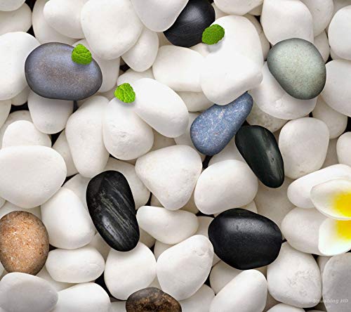 BUM BUM BHOLE White & Black Pebbles for Aquarium | Pebbles for Vase Fillers Outdoor/Indoor | Polished White & Black Pebbles for Garden Decoration Plants Pots & Multi Purpose Pack 1Kg (B08V1XH2HB) Amazon Price History, Amazon Price Tracker