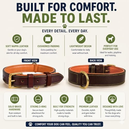Image of Genuine Leather Dog Collar, Brown, Medium, Brass Buckle, Padded | 1 Inch Wide, Fit Neck Size - 14.5 inch - 18.5 inch, Double D Ring, Adjustable, Thick Leather, Heavy Duty, Soft Leather padding