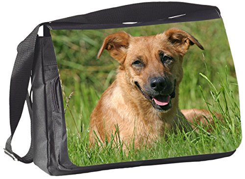 Preisvergleich Produktbild +++ Österreichischer PINSCHER - COLLEGETASCHE Tasche UMHÄNGETASCHE Schultertasche - ÖPI 03