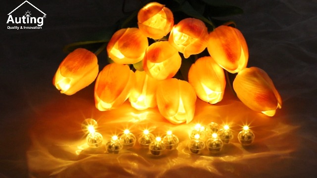 30 Stück LED-Ballonlichter Warmweiß – Mini-Lichter Für Partys, Laternen, Deko Bei Weihnachten & Hochzeit