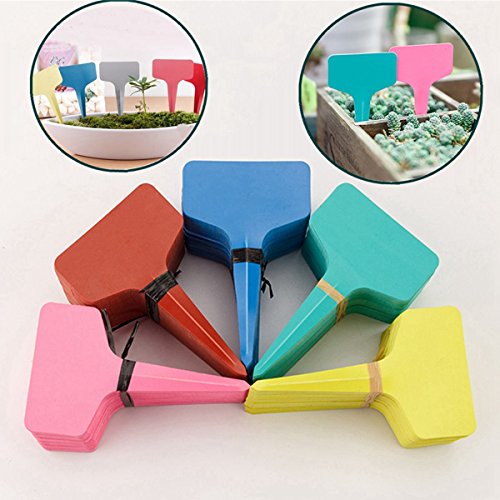TIANOR 50 Piezas Planta marcadores y Etiquetas Poco Herramienta Jardinería Accesorios para etiquetado de Las Plantas 6 * 10 cm