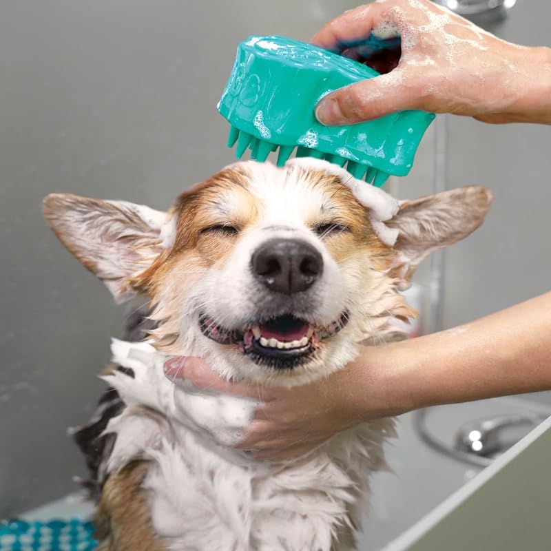 KONG ZoomGroom Dog Brush (Large)