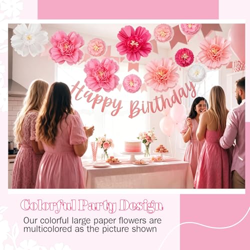 Image of TaoBary Large Colorful Tissue Paper Flowers Giant Fiesta Paper Pom Poms Classroom Wall Decor Mexican Birthday Party Decorations Wedding Backdrop(20 inch and 10 inch,Gradient Pink,12 Pcs)