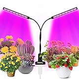 grow beleuchtung 🌺【3 Lichtmodi und 6 Helligkeitsmodi】Unsere Pflanzenleuchten verfügen über 3 Lichtmodi und 6 Helligkeitsmodi, sodass Sie die Helligkeit und das Spektrum der Pflanzenlichter anpassen können, damit Ihre Pflanzen gesund wachsen. Vollspektrum-Pflanzenlichter steigern Ihre Pflanzen das ganze Jahr über und steigern den Ertrag.
