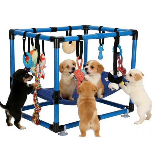 Blue Puppy Play Gym with 8 Hanging Toys Dog Jungle Gym Indoor with Hammock and Funny Enrichment Toys PVC Frame Puppy Gym Activities Center for Puppies