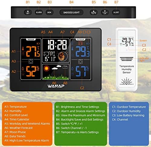 Wanap Weather Station, Weather Globe with Remote Sensor Digital Indoor Outdoor, Multifunctional Weather Forecast Thermometer Hygrometer Barometer, Radio Clock