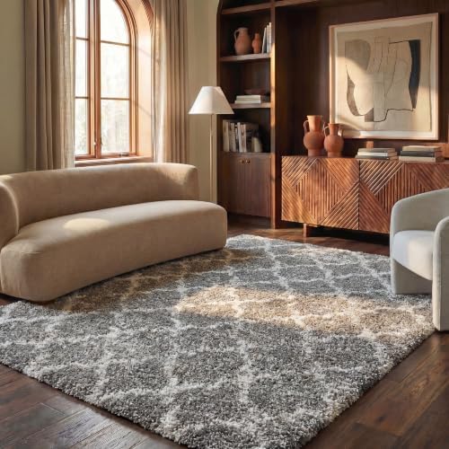 SAFAVIEH Area Rug 8x10 - Hudson Shag Collection - Large - Grey & ...