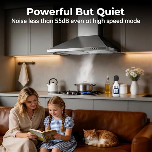 Image of 24 Inch Wall Mount Range Hood, Stainless Steel Range Hood 450 CFM, Ducted /Ductless Convertible Kitchen Hood with Push Button Control, 3 Fan Speed, 2 Pcs Mesh Filters