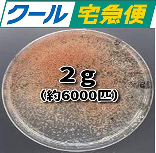 ߂X ^}~WR  eO ߂  N ݂ (Qg N[ N1{t)