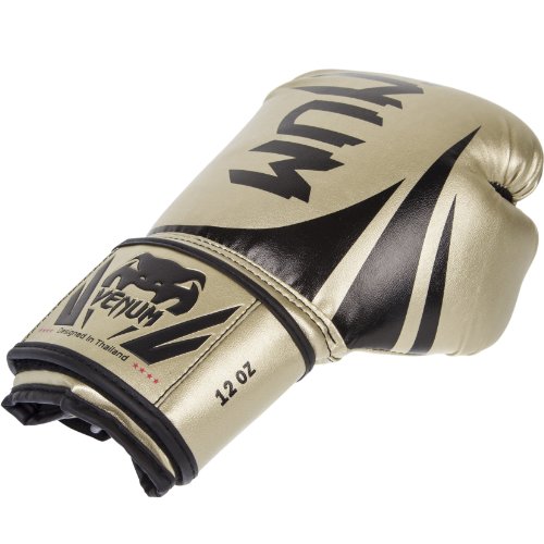 Image of Venum Challenger Boxing Gloves
